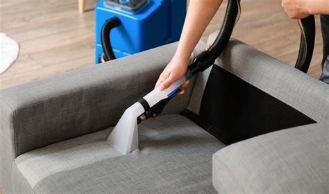 schematinis vaizdas, kaip dulkių erkutės dauginasi ir kaip jų išvengti