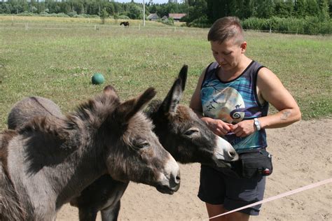 Asilai prieglaudoje