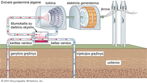 schema, iliustruojanti gimdymo biomechanizmo momentus