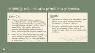Kalcio trūkumo požymiai augaluose