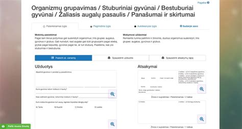 Skaitmeninių užduočių rinkinio pavyzdys