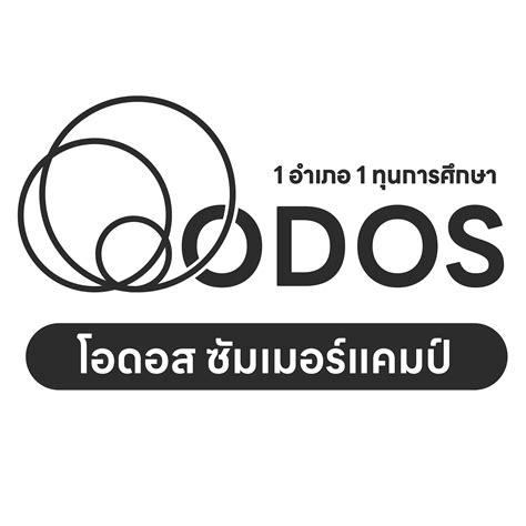 skystos odos taisymo procesas