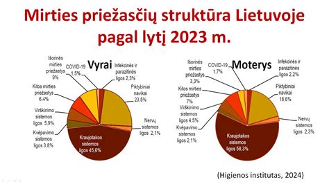 Statistika apie vaikų mirtingumą nuo išorinių priežasčių Lietuvoje