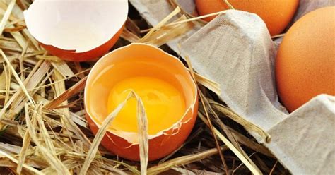 Kiaušinio trynys ir baltymas