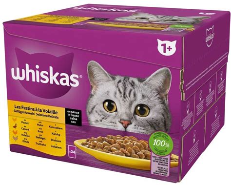 Specialus kačių maistas