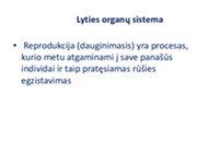 Žmogaus moters reprodukcinė sistema