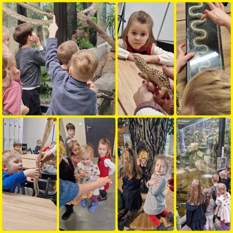 Lietuvos zoologijos sodo edukacija apie kiaušinius