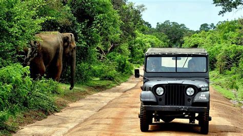 Spermatozoidų kelionė