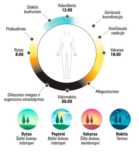 Schema: pabėgimo galimybės