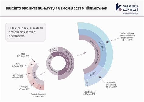 Statistika apie pažeidžiamas jaunuolių grupes