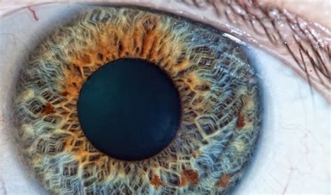 Schema, kaip veikia žmogaus akis