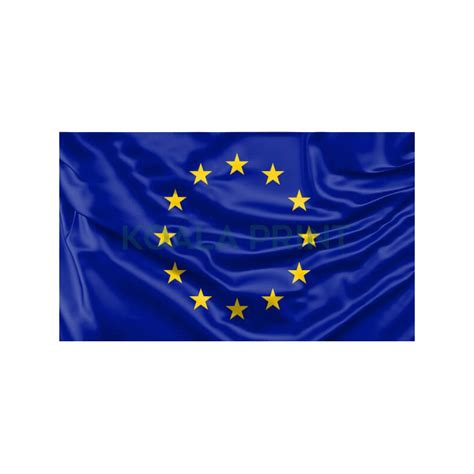 Europos Sąjungos vėliava ir pagrindinės vertybės