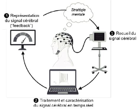Schema, iliustruojanti neurofeedback treniruotės principą