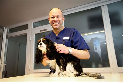 veterinaras konsultuoja šunų šeimininką