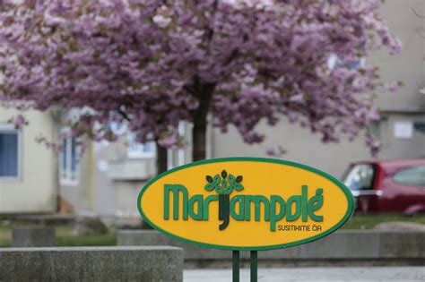 Marijampolės miesto vaizdas