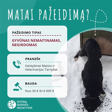 Statistika apie žiaurų elgesį su gyvūnais Lietuvoje