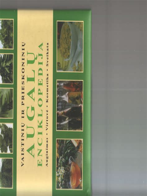 vaistiniu augalu rinkimas ir paruosimas