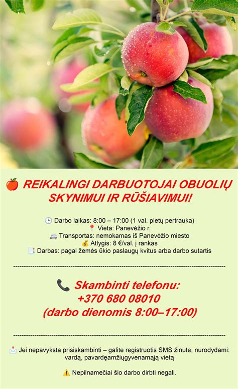 Darbo skelbimų suvestinė