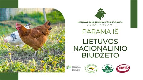Ekologinių ir paprastų kiaušinių palyginimas