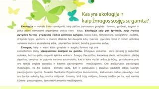 Įvairios gimdymo aplinkos pasaulyje