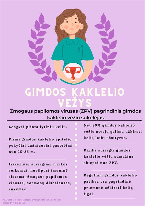 schematinis gimdos kaklelio paveikslėlis