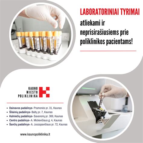 Schema, kaip vyksta nevaisingumo tyrimai porai