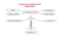 sveikas gyvenimo būdas nėštumo metu
