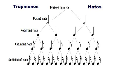 natų ir muzikos instrumentų koliažas