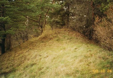 Padovinio piliakalnio reljefas