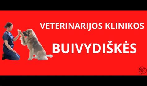 Veterinarijos klinikos paslaugos
