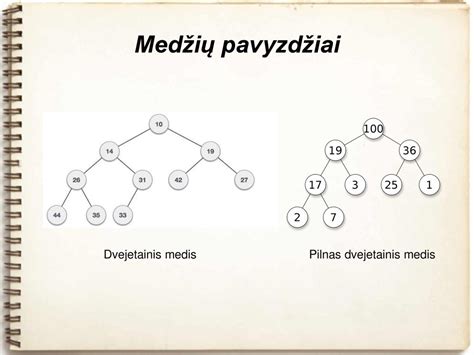 Sinonimų medis su paaiškinimais