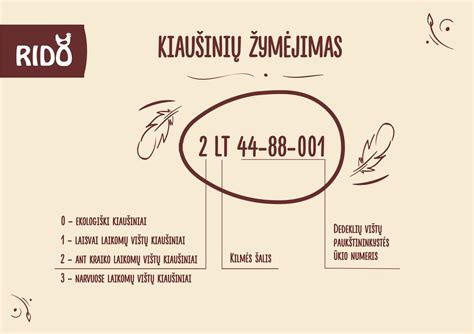 Schema, paaiškinanti kiaušinių žymėjimo numerius