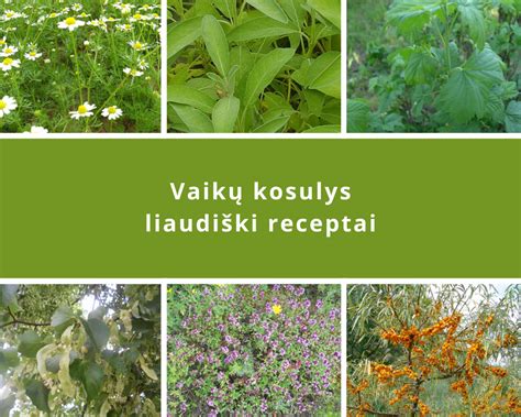 liaudies medicinos žolelės vaikų artritui