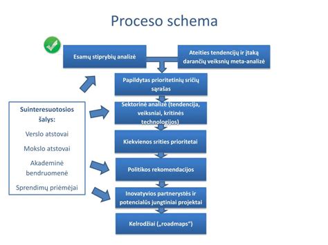 Schema: Laikino svečiavimosi procesas