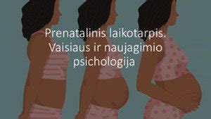 schematinis vaizdas kaip susidaro vaisiaus ir naujagimio hemolizinė liga