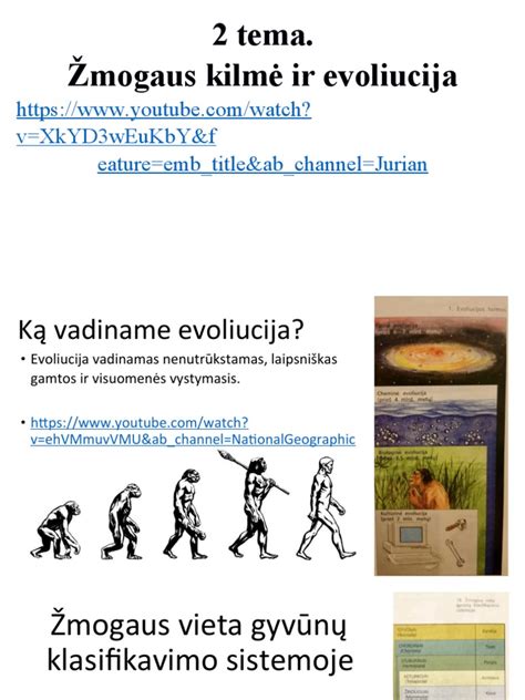 Etiketo kilmė ir evoliucija