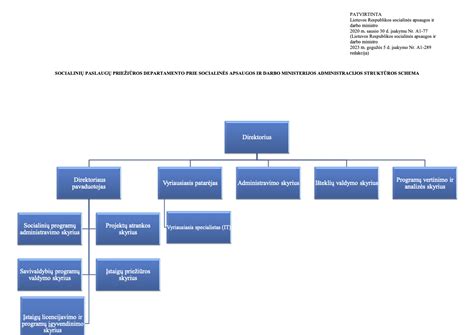 Schema organizacinės struktūros socialinės pagalbos centre