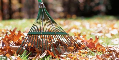 daržo darbai lapkritį