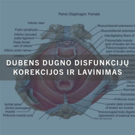 Moters dubens dugno raumenys