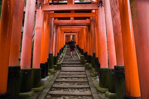 Tūkstančiai raudonų torii vartų Fushimi Inari-taisha šventykloje, Kiote