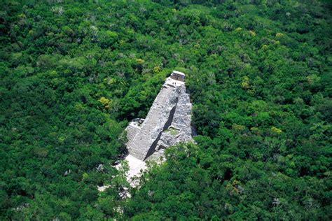 Majų piramidės Tikal džiunglėse