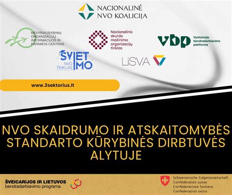 Schema, iliustruojanti nevyriausybinių ir vyriausybinių sektorių bendradarbiavimo svarbą