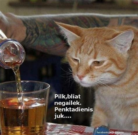 Juokingi paveiksliukai