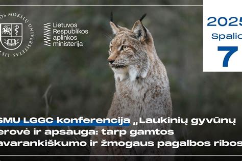 Gyvūnų gerovė skerdykloje