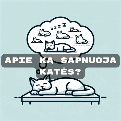 Sapnų aiškinimo schema