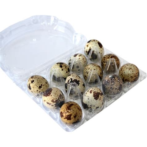 Putpelių kiaušinių rinkinys