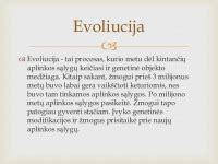 Simbolinė žmogaus evoliucijos schema