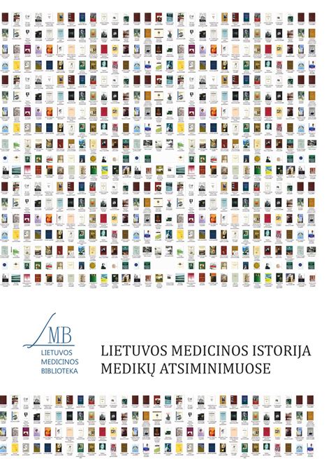 Lietuvos medicinos sistemos schema
