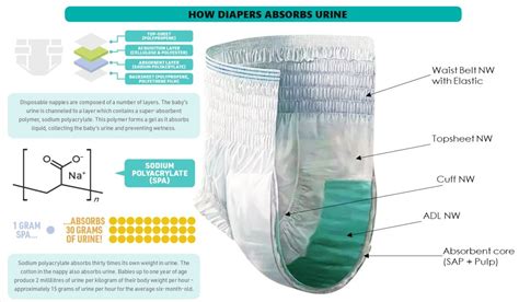 Infografika, demonstruojanti Super Absorbent Core technologiją
