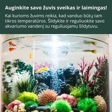 Akvariumo statymo variantai